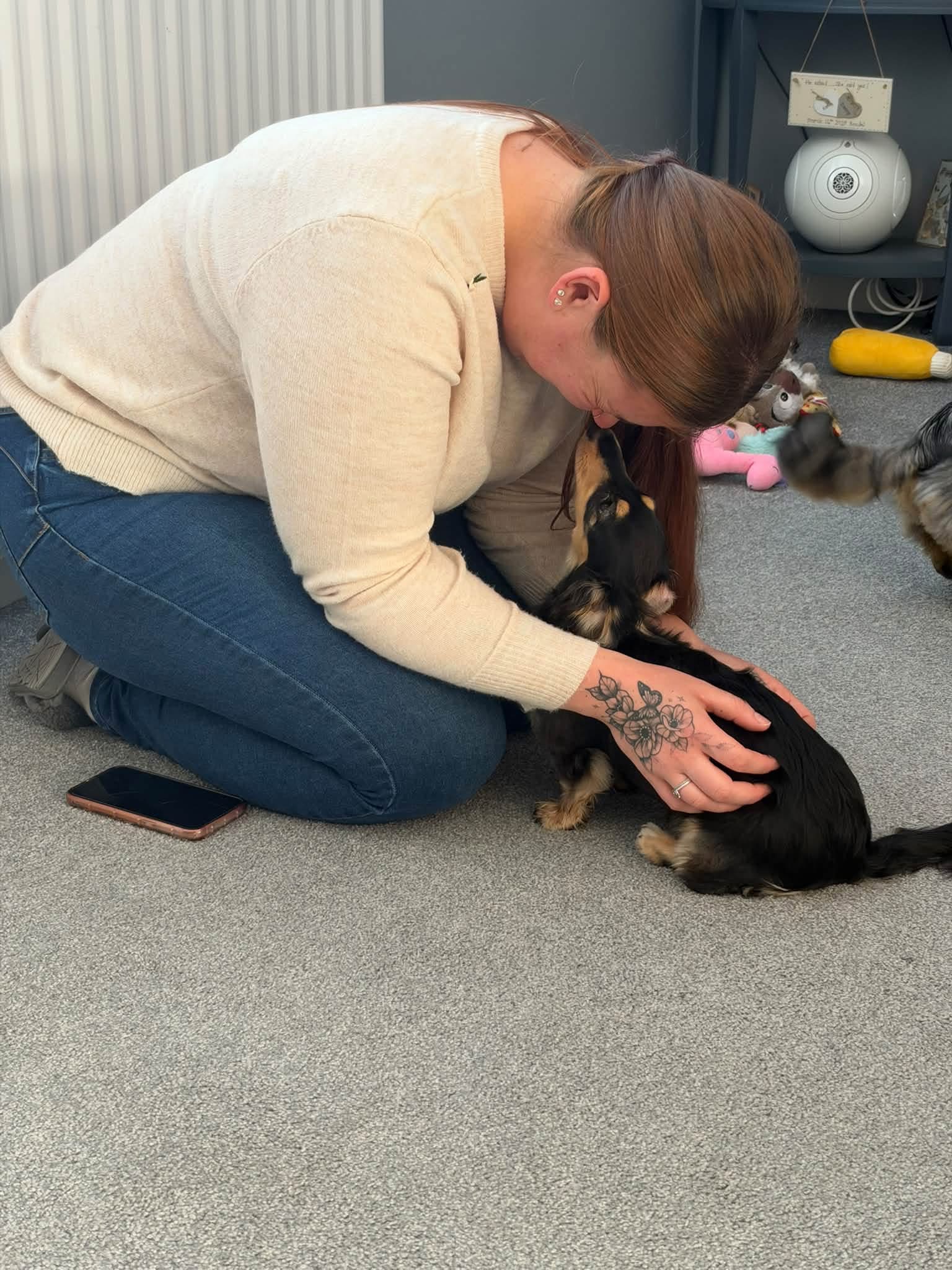 A Daxie Den team member gently greeting a dachshund