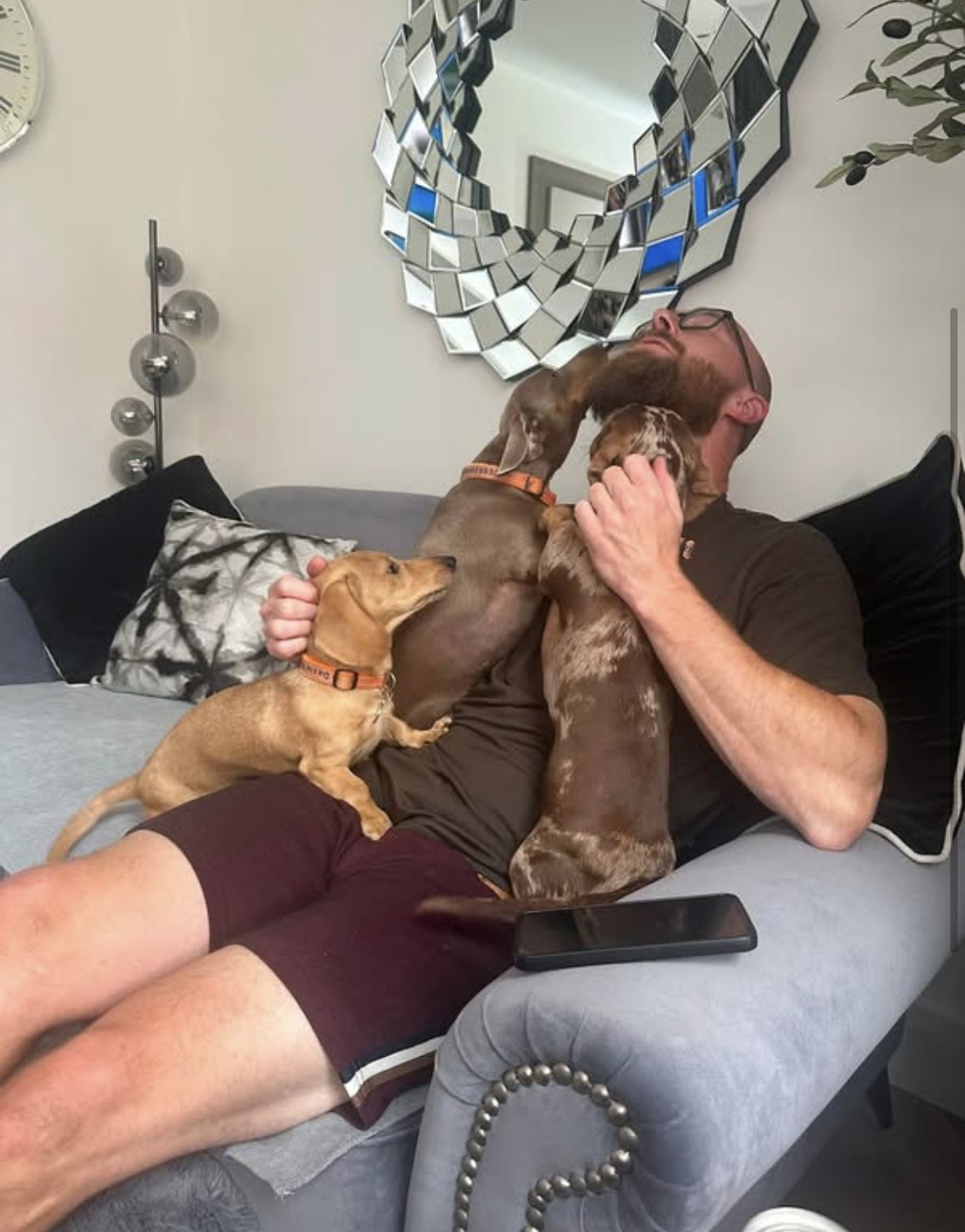 Jamie surrounded by three affectionate dachshunds on the sofa