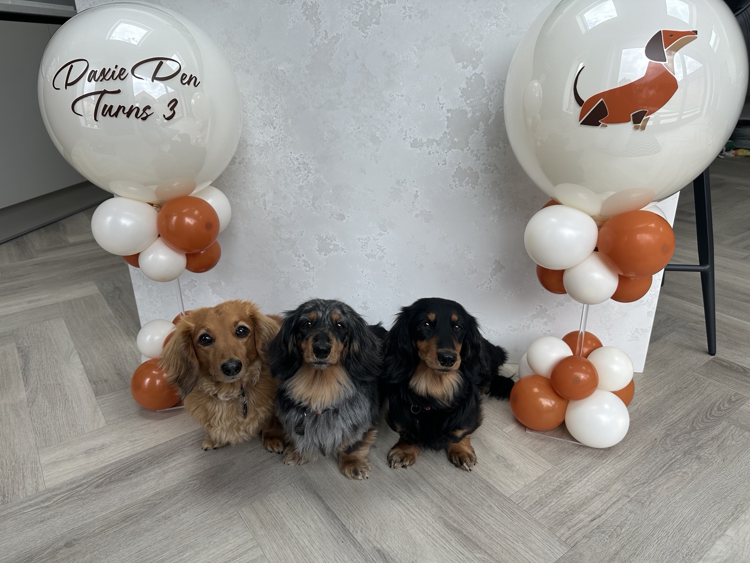 Ruby, Emmi and Saffi at the Daxie Den celebration
