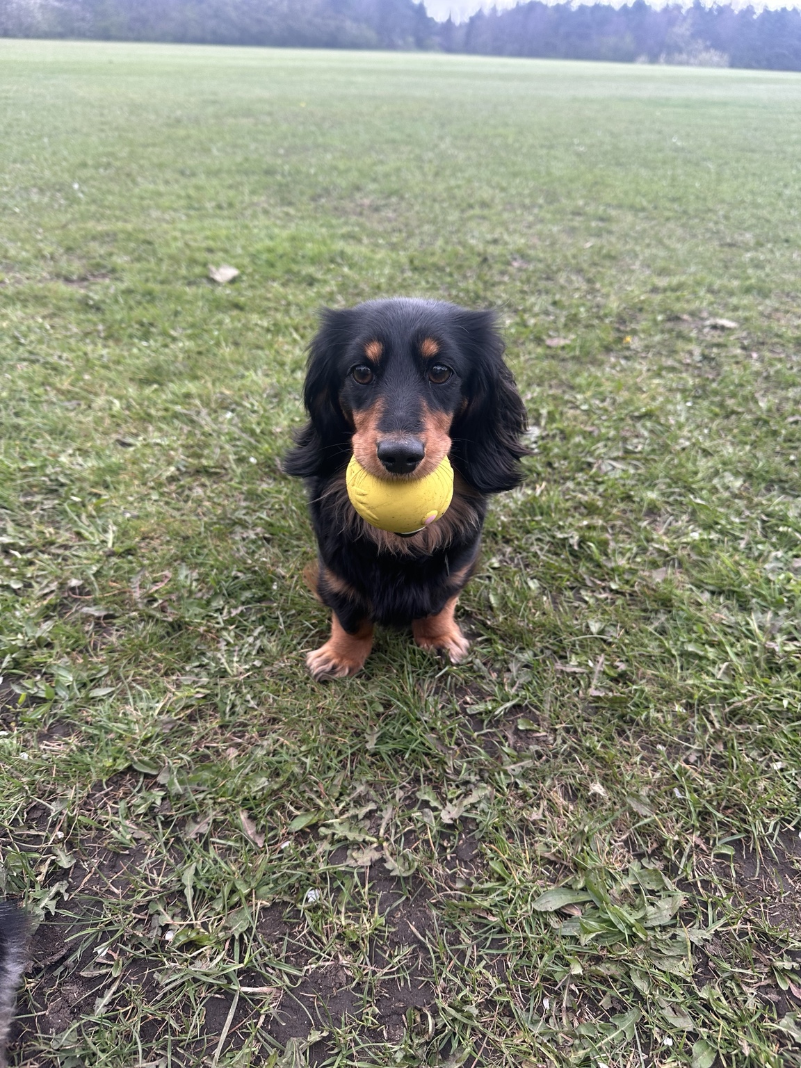 Emmi ready to play