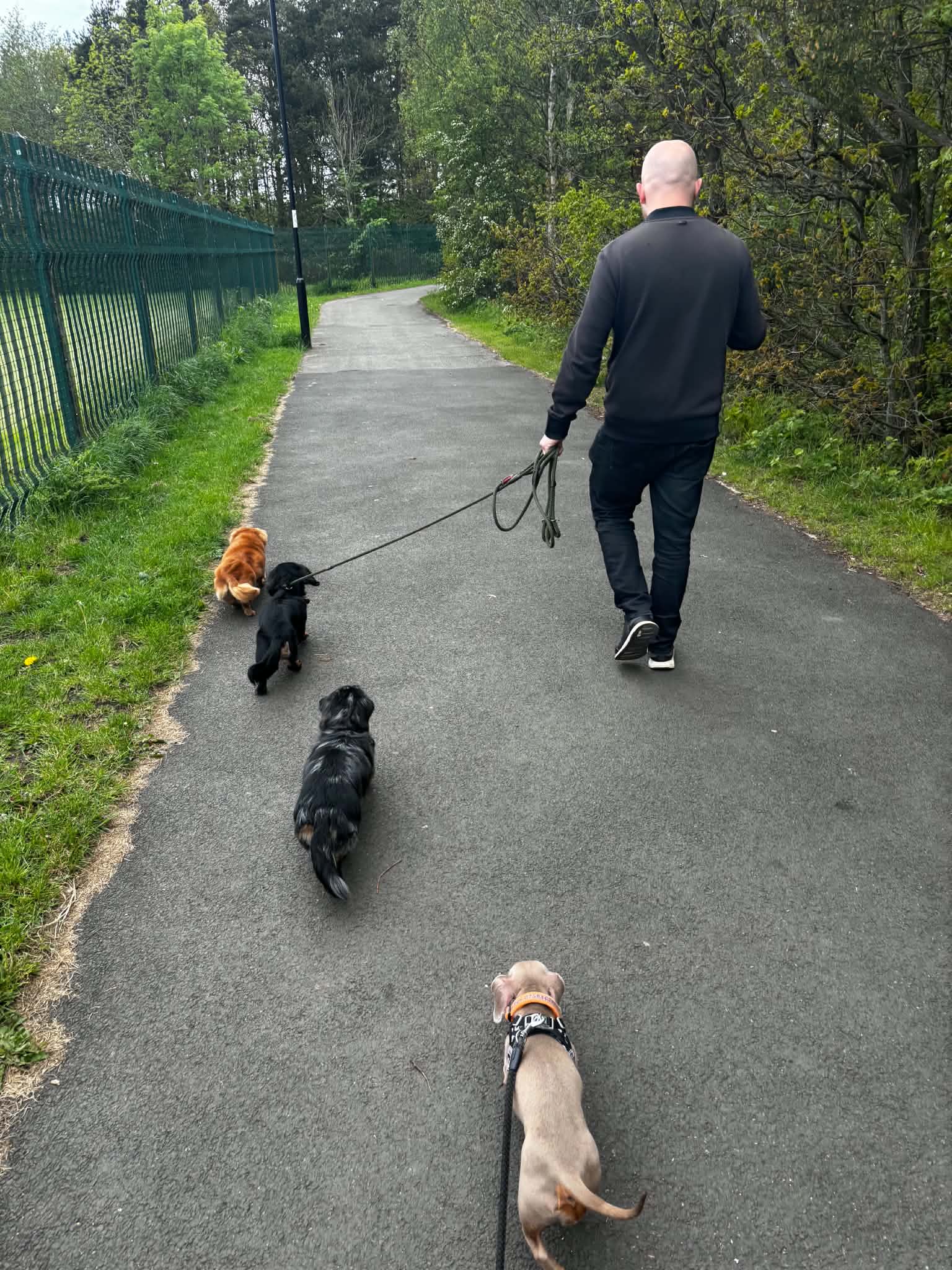 Dan taking the sausages for a walk