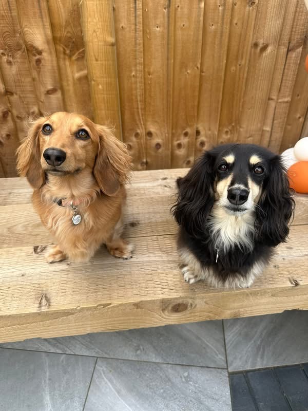 Two social boarding guests sitting together