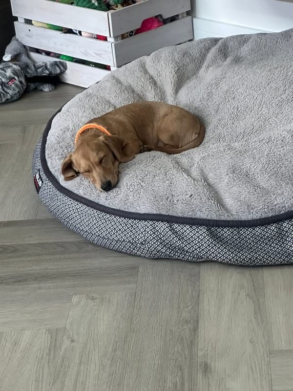 A guest resting peacefully during a supportive stay