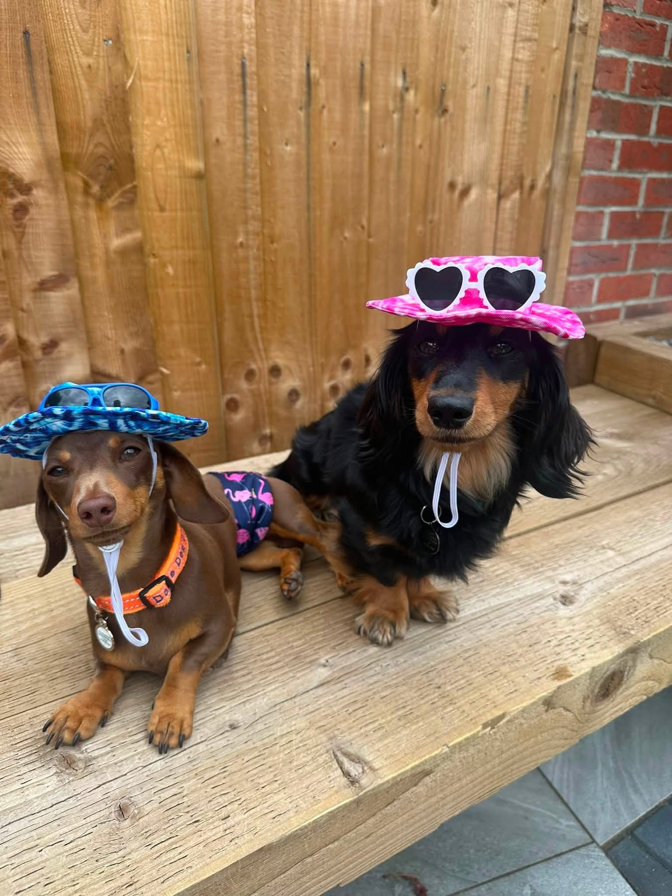 Two Daxie Den guests having fun in sun hats