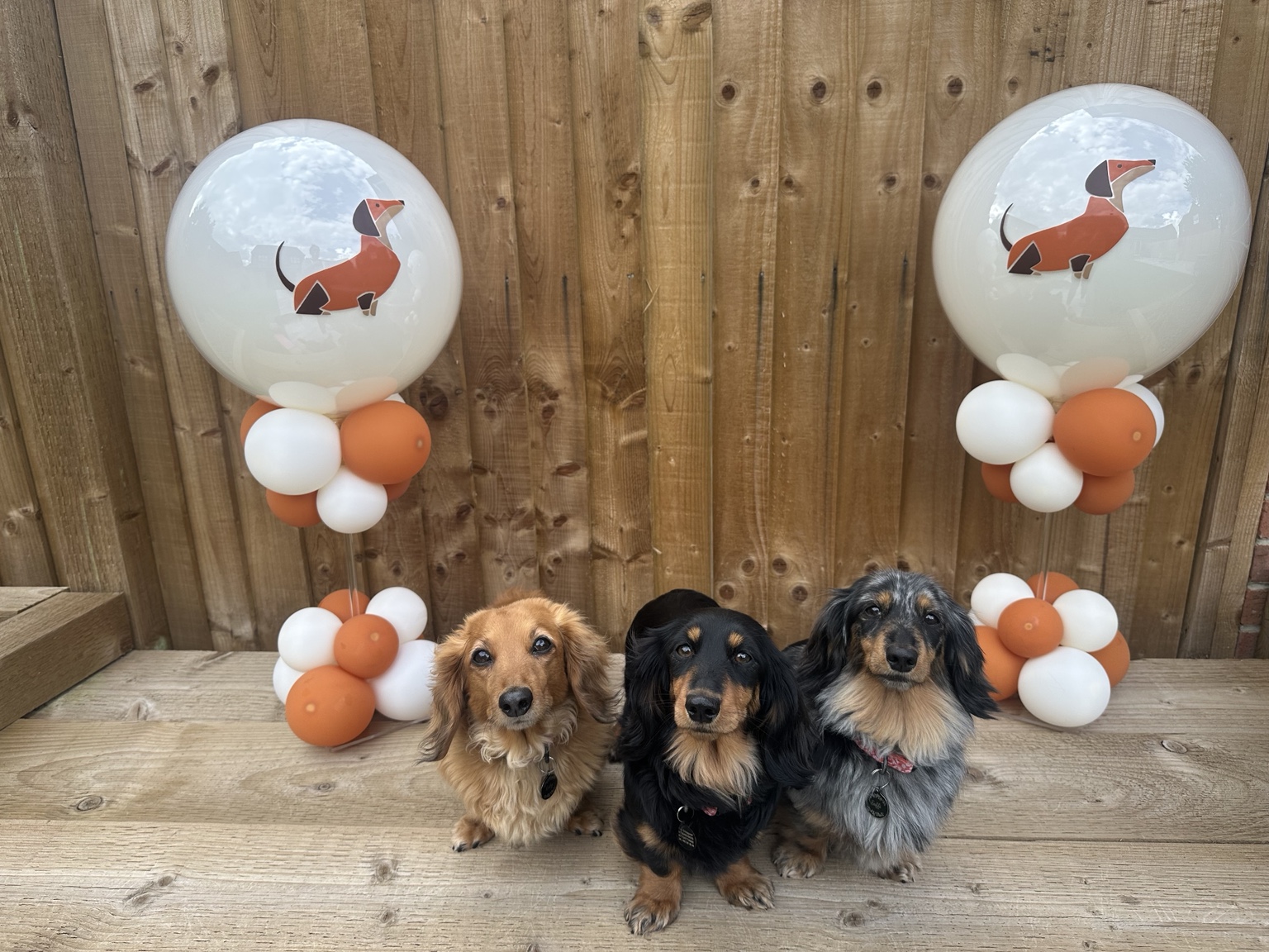 Ruby, Emmi and Saffi together at Daxie Den