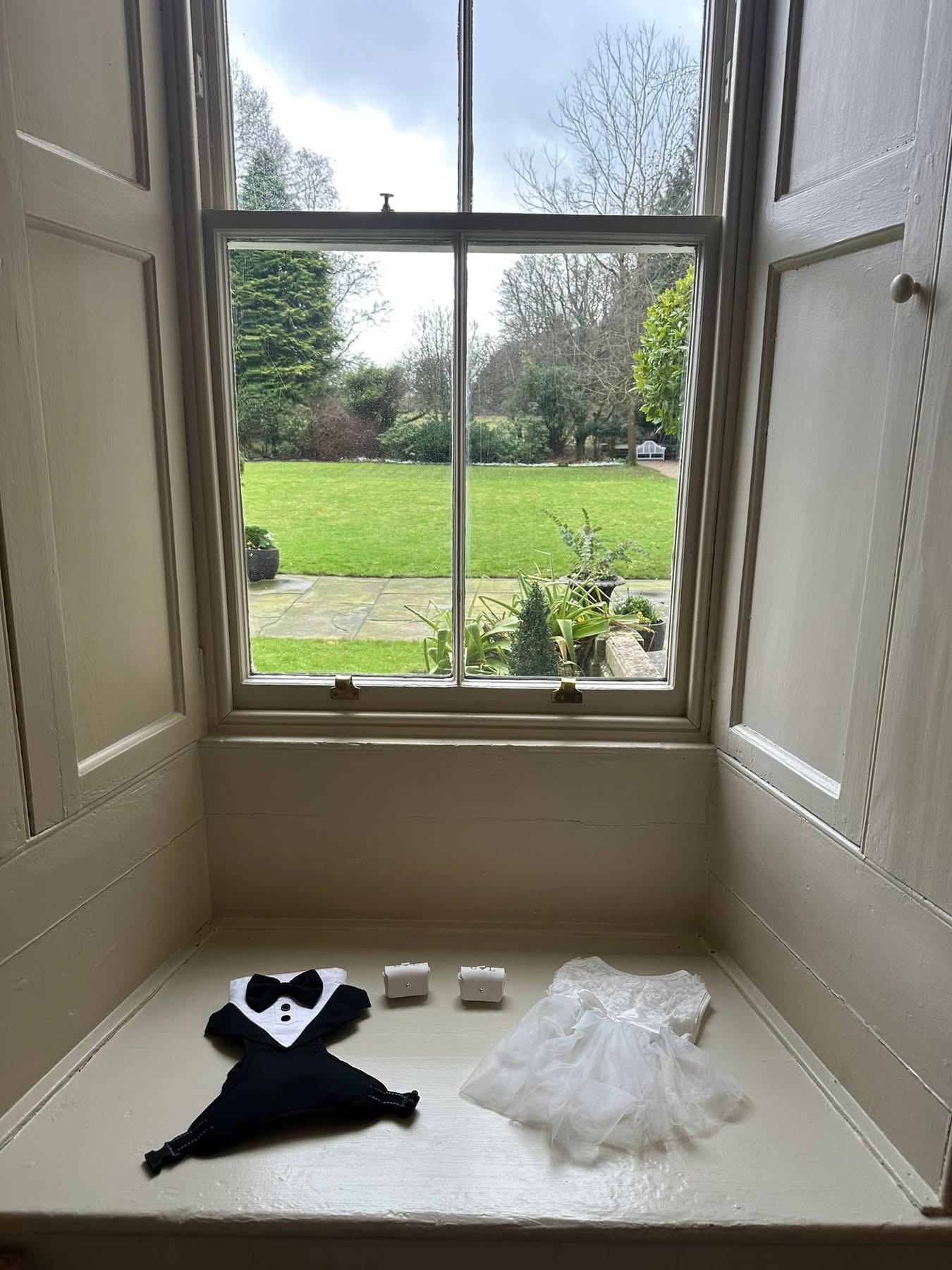 The dachshunds' wedding outfits laid out by the window